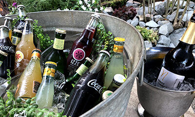 IMG_3231_400_267