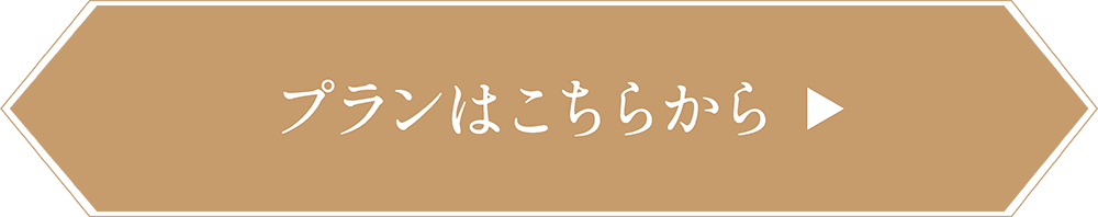プランはこちらボタン