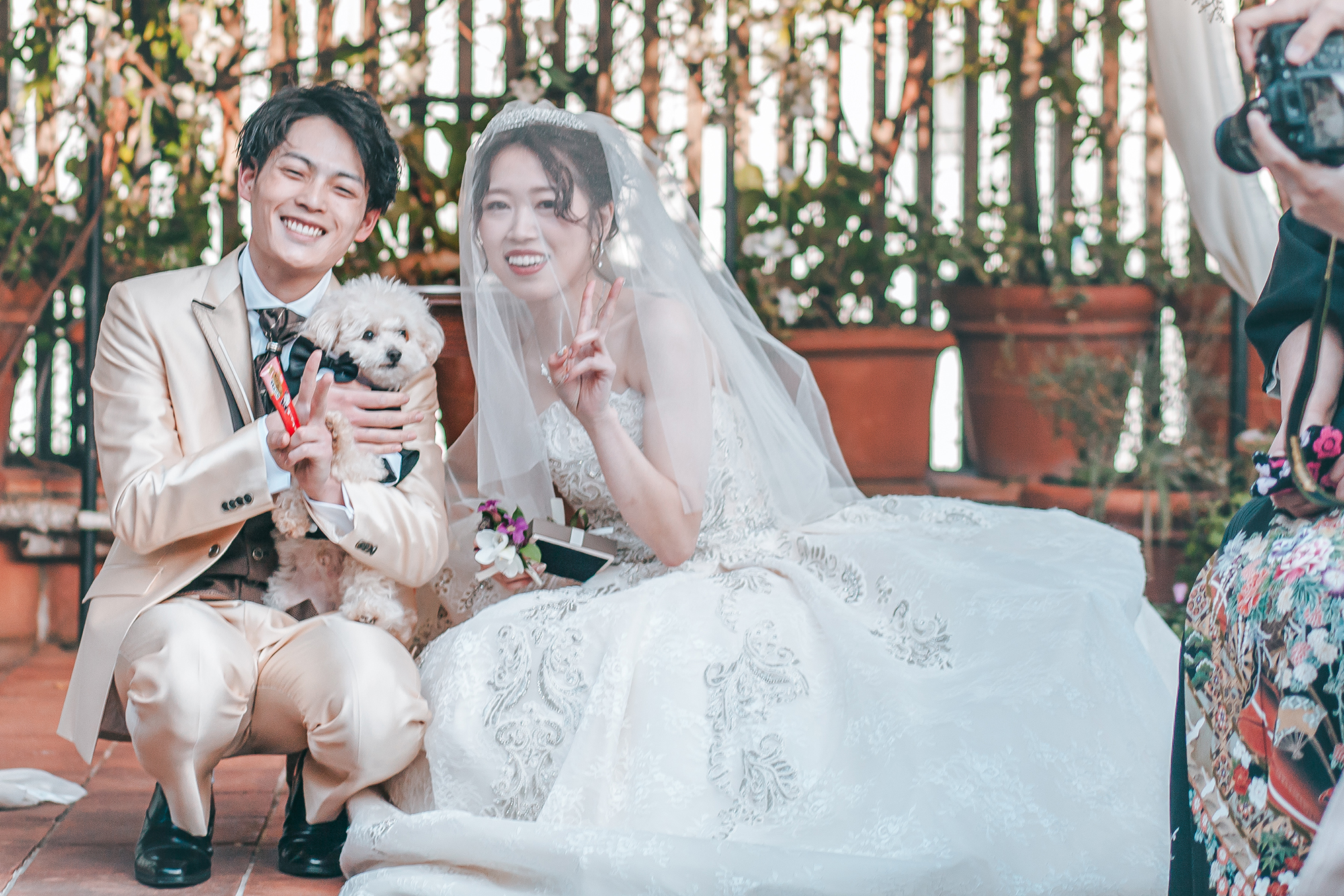 ペット婚　リングドッグ